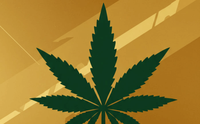 Should You Invest In The Cannabis Industry?